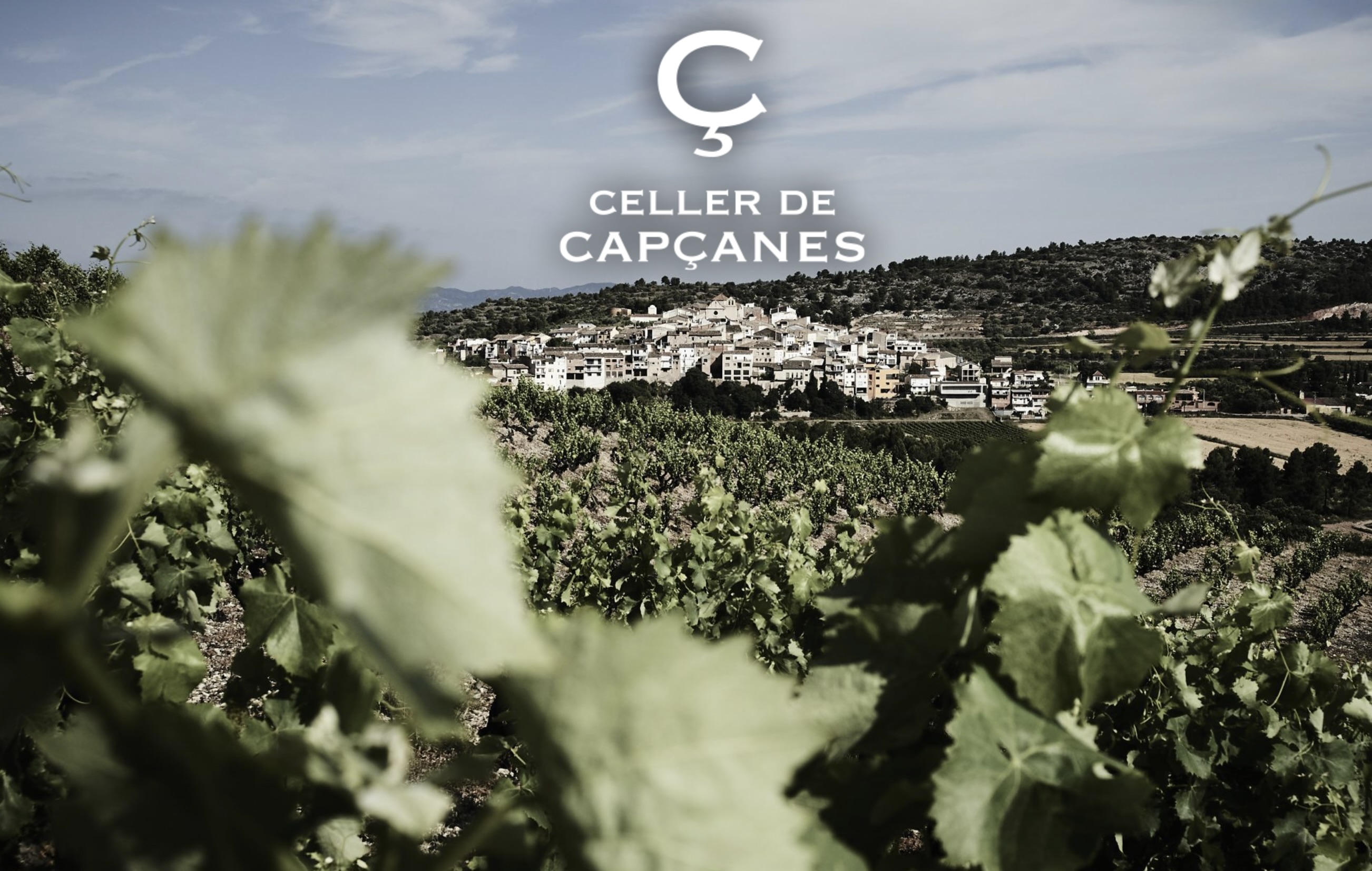 Celler_de_Capsanes_4